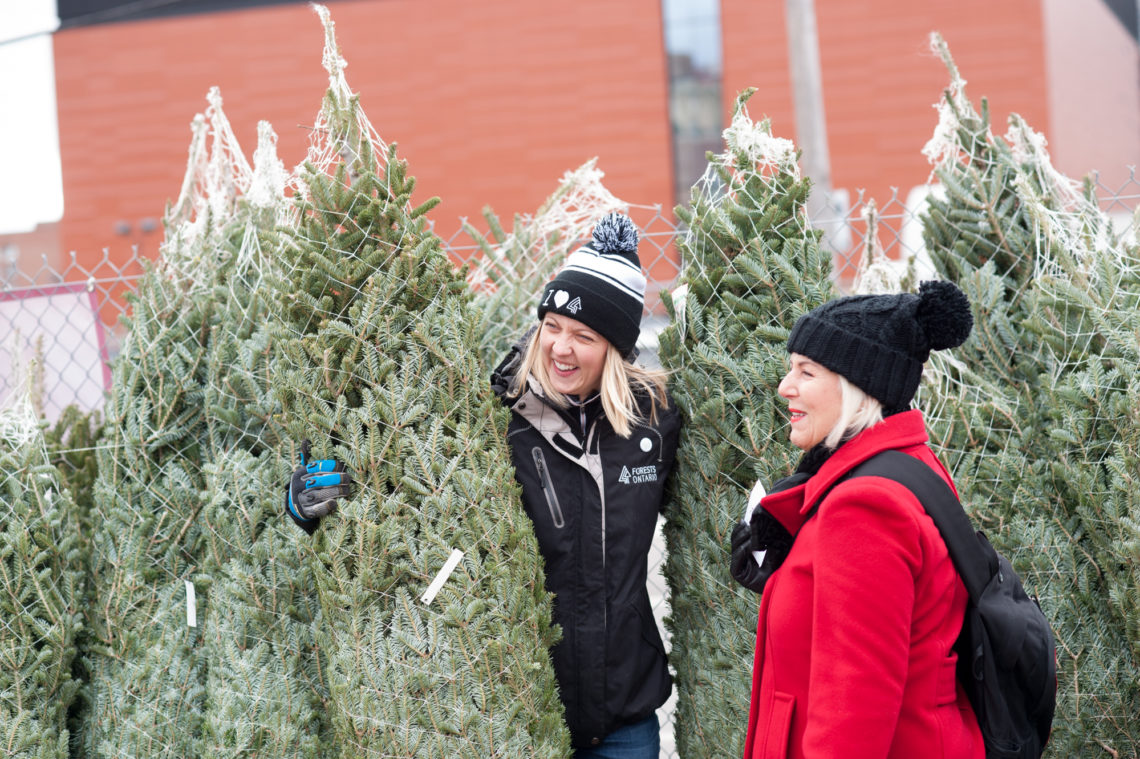 two women butying a real christmas tree from local sellers